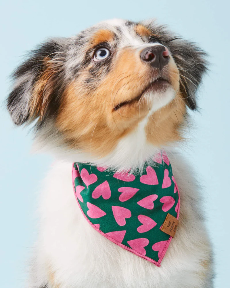 Lovestruck Dog Bandana (Made in the USA)