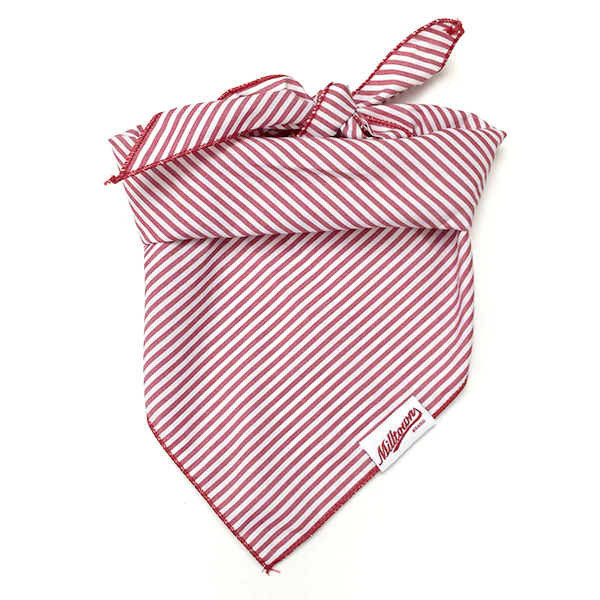 M.N. DAVIS & SON | Dog Bandana in Red Pin Stripe - Image 3