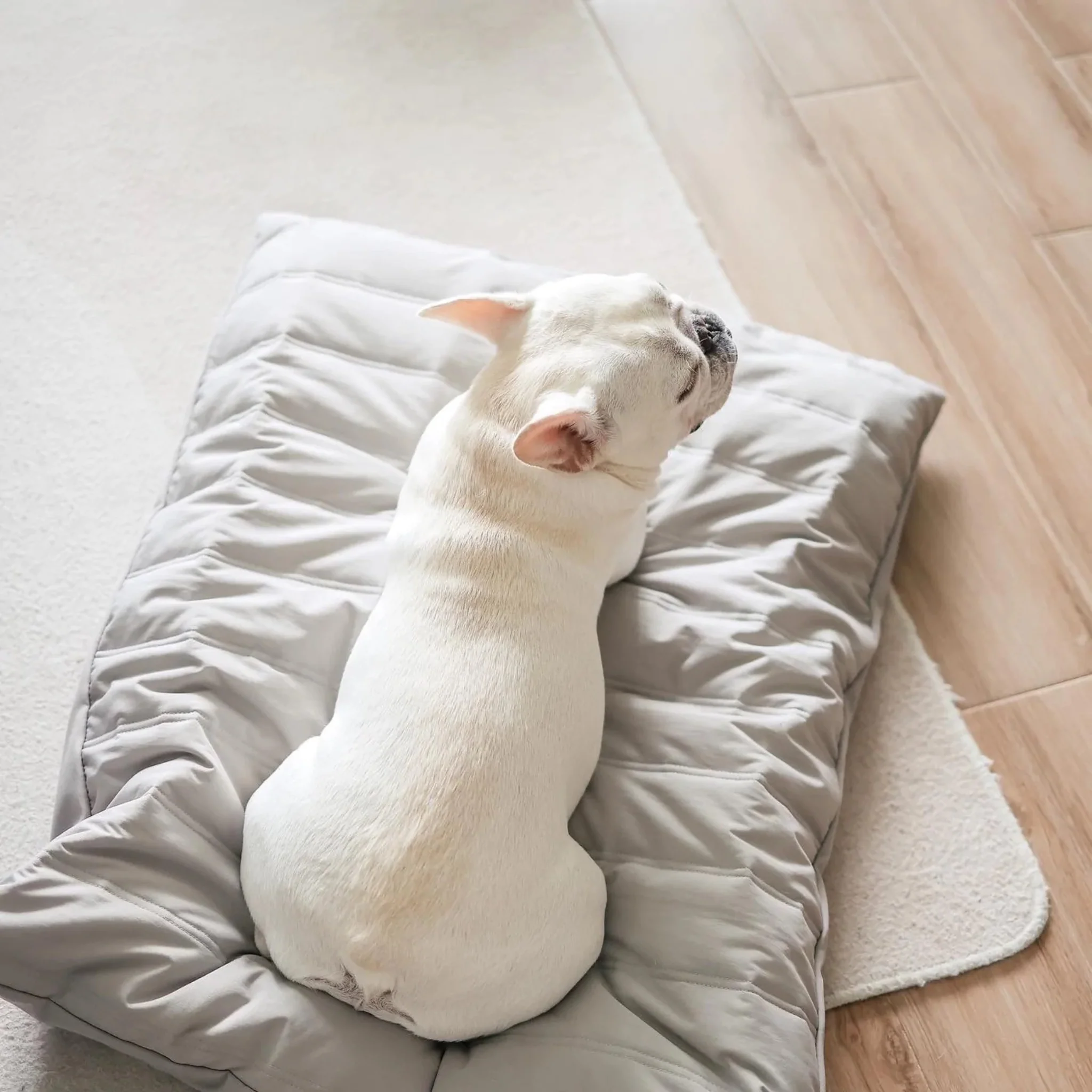 Maatin Reversible Memory Foam Pet Bed - Image 2