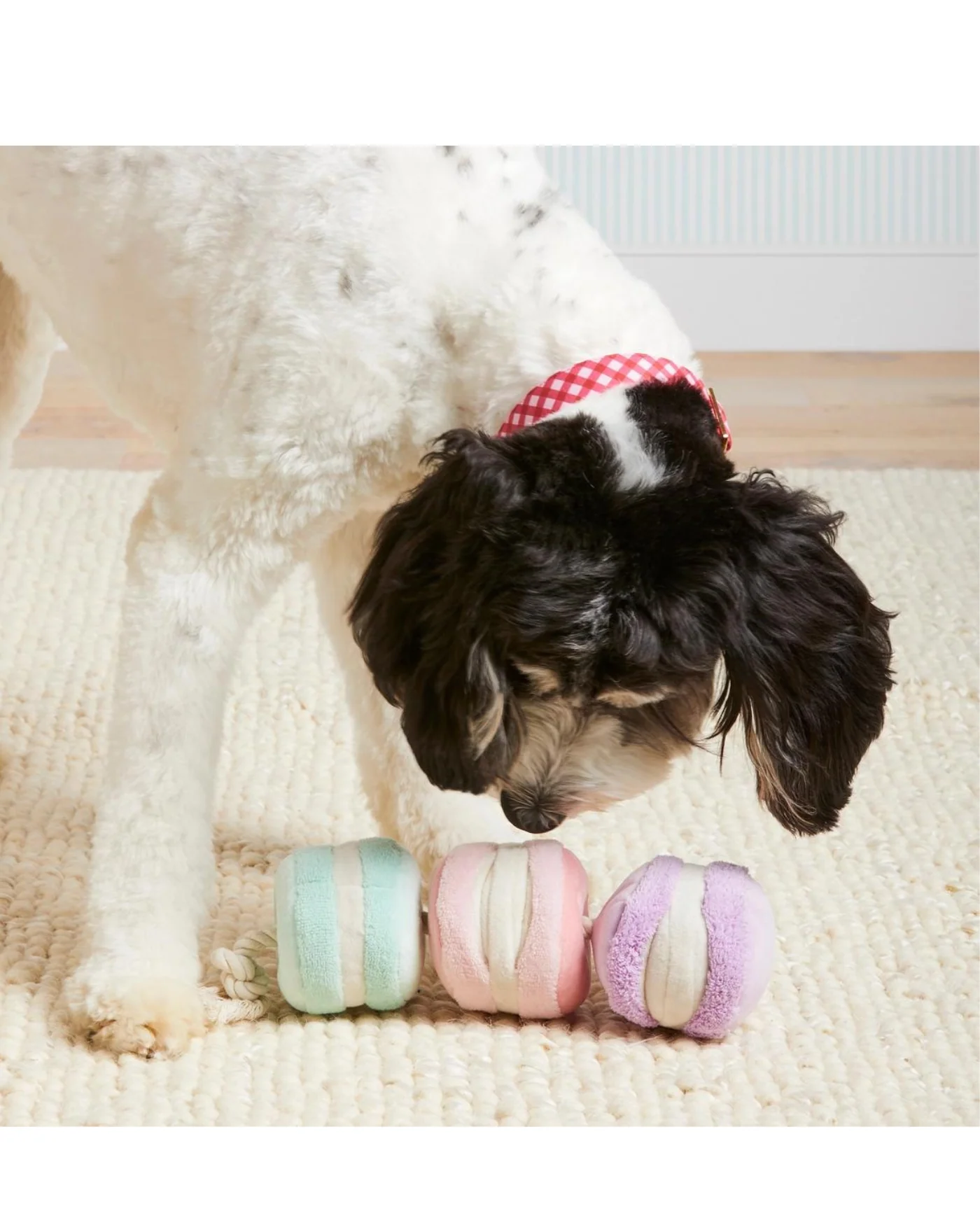 Macarons Interactive Snuffle Dog Toy (FINAL SALE) - Image 6