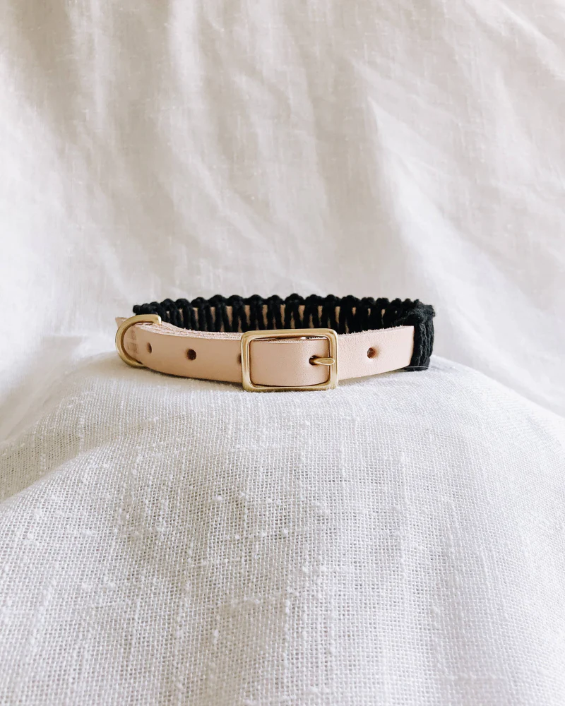Macrame & Leather Dog Collar in Black w/ Natural (Made in the USA) (FINAL SALE) - Image 5