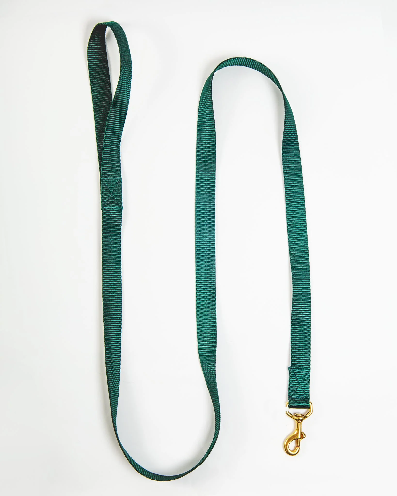 Basic Nylon Dog Leash in Evergreen (Made in the USA)