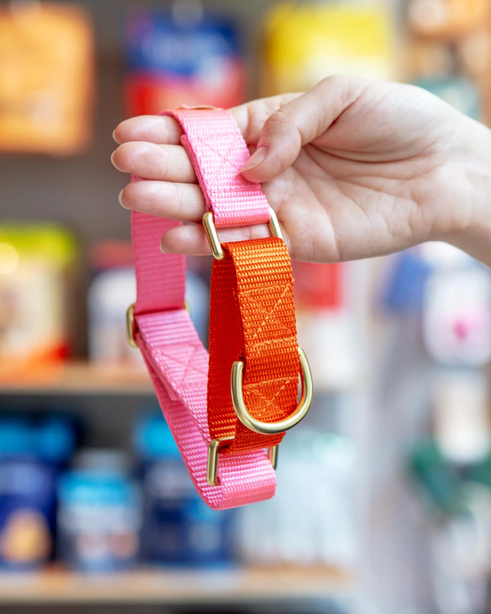 Martingale Dog Collar in Pink + Orange (Made in the USA)