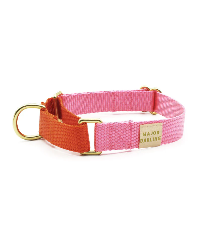 Martingale Dog Collar in Pink + Orange (Made in the USA) - Image 3