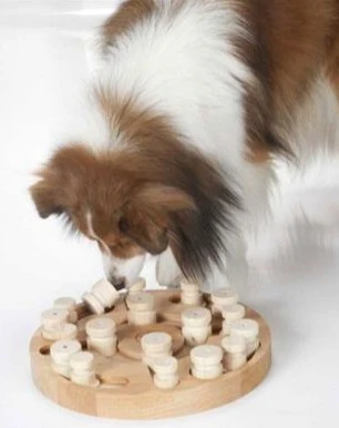 Mandala & Star Dog Puzzle Treat Game - Image 2