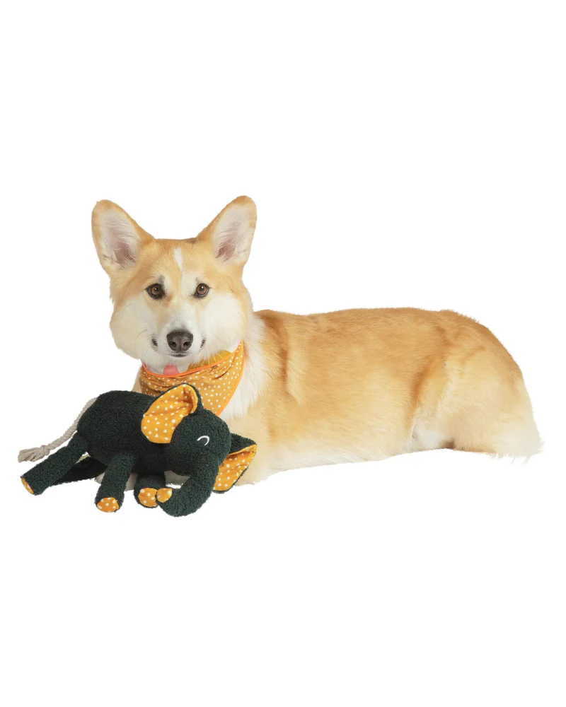 Shakers Peppa Elephant Squeaky Dog Toy - Image 4
