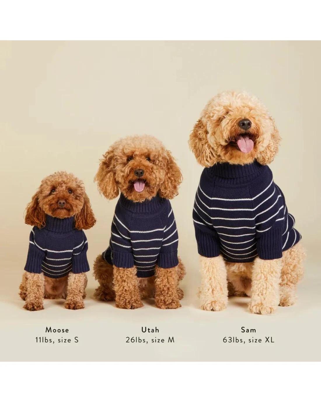 Mariner Stripe Dog Sweater (FINAL SALE) - Image 6