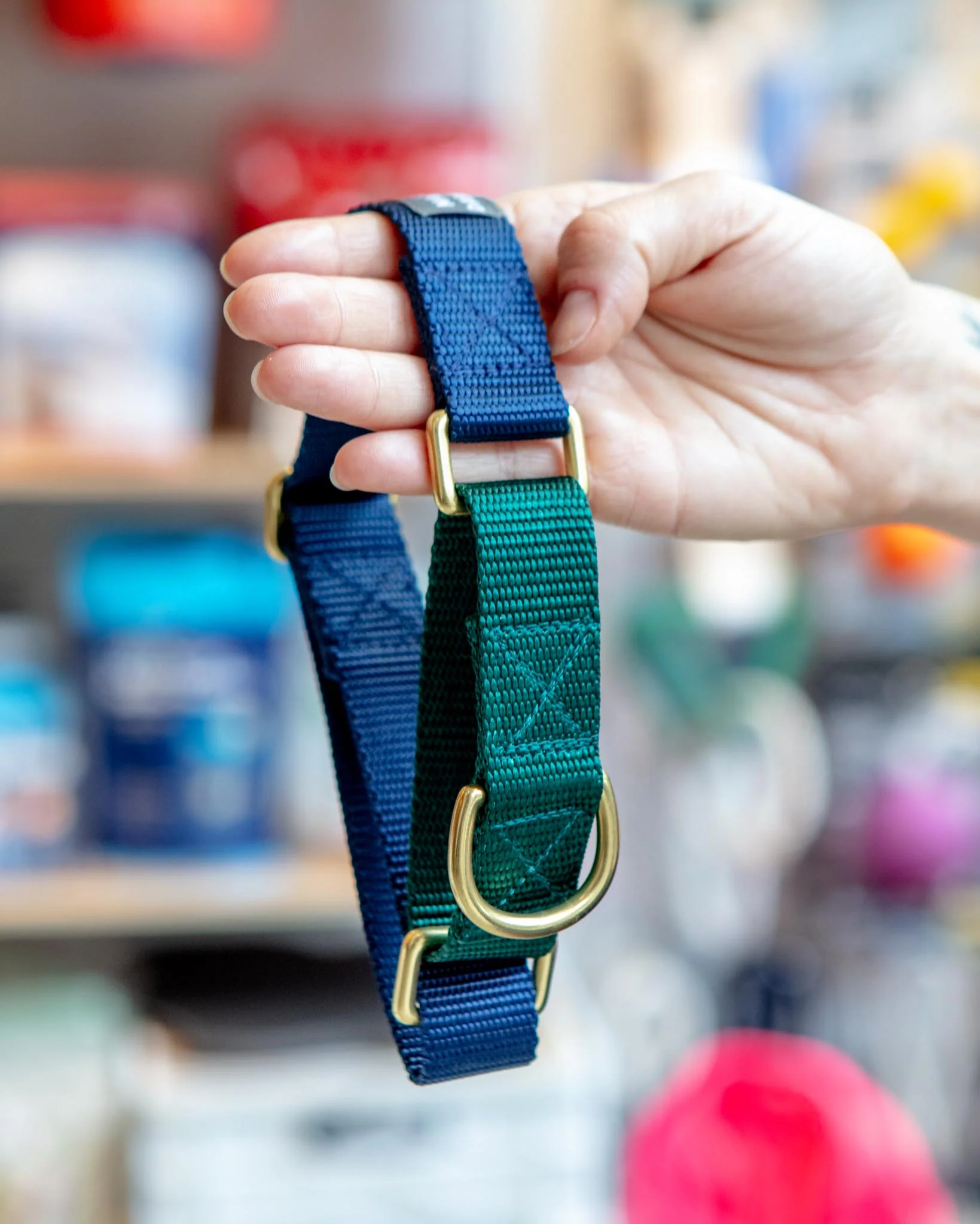 Martingale Dog Collar in Navy + Evergreen (Made in the USA)