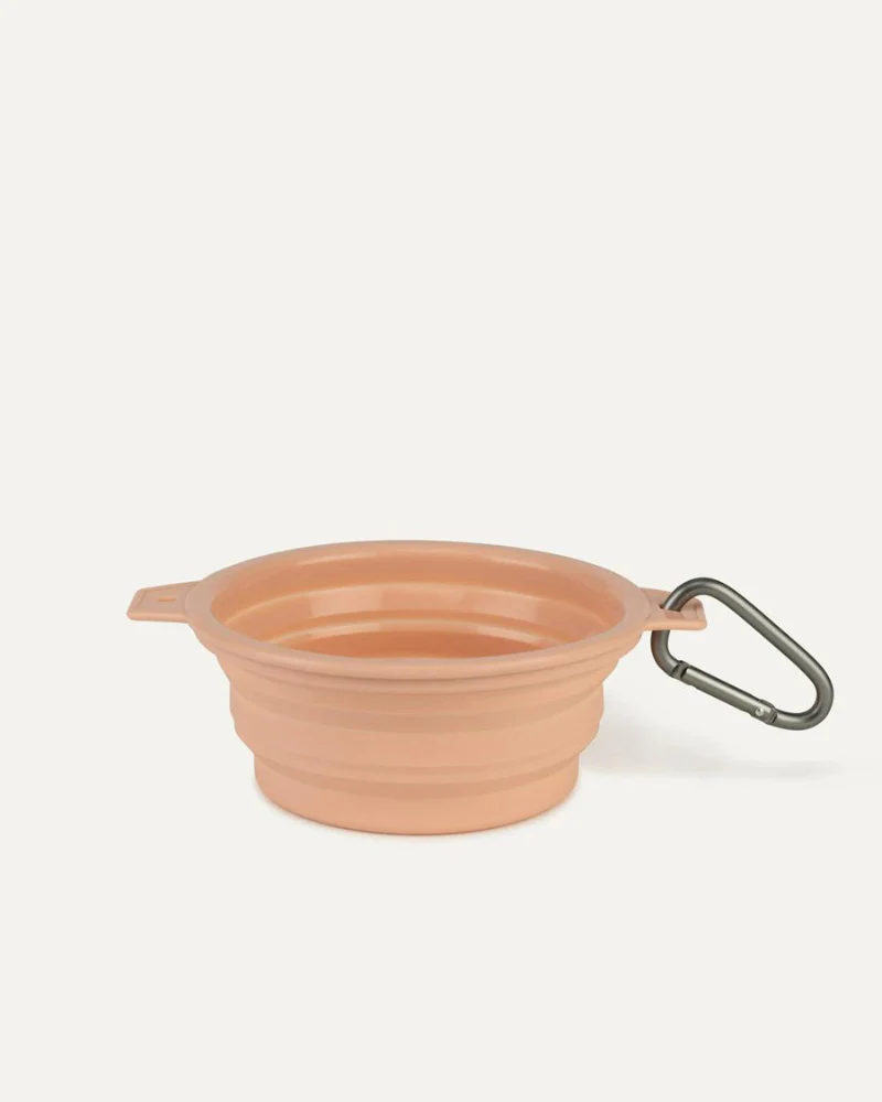 Rubber Collapsible Travel Dog Bowl (Single) - Image 4