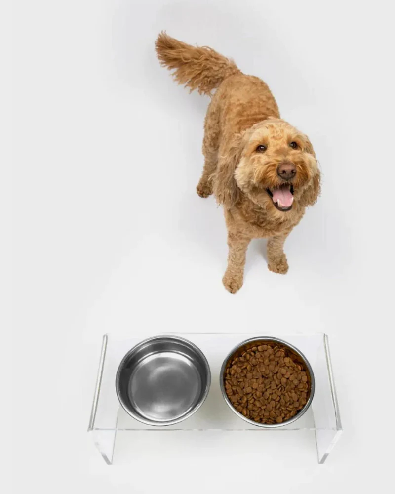 Clear Lucite Double Bowl Pet Feeder (Made in the USA) (Direct-Ship) - Image 12
