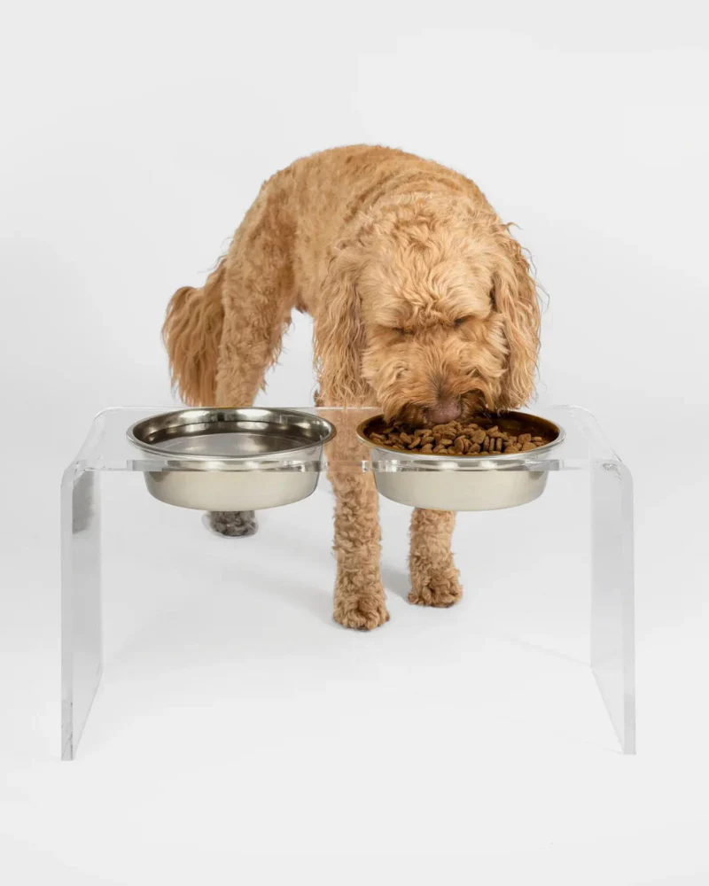 Clear Lucite Double Bowl Pet Feeder (Made in the USA) (Direct-Ship) - Image 13
