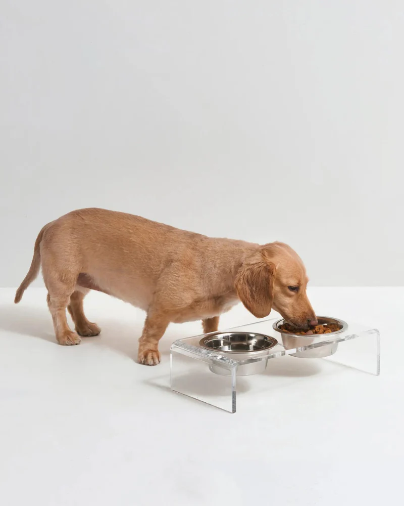 Clear Lucite Double Bowl Pet Feeder (Made in the USA) (Direct-Ship) - Image 15