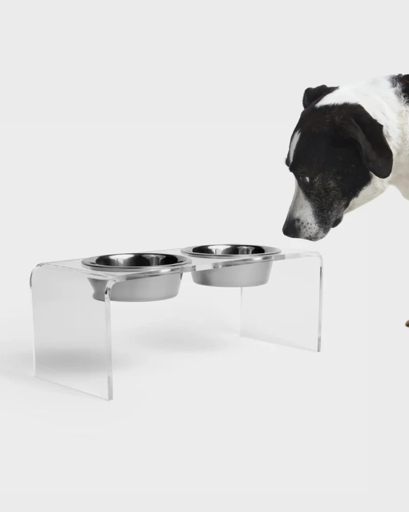 Clear Lucite Double Bowl Pet Feeder (Made in the USA) (Direct-Ship) - Image 17