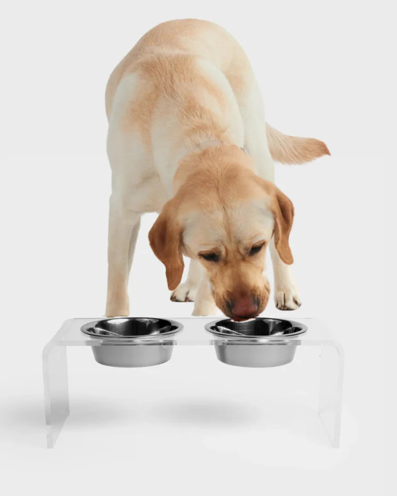 Clear Lucite Double Bowl Pet Feeder (Made in the USA) (Direct-Ship) - Image 3