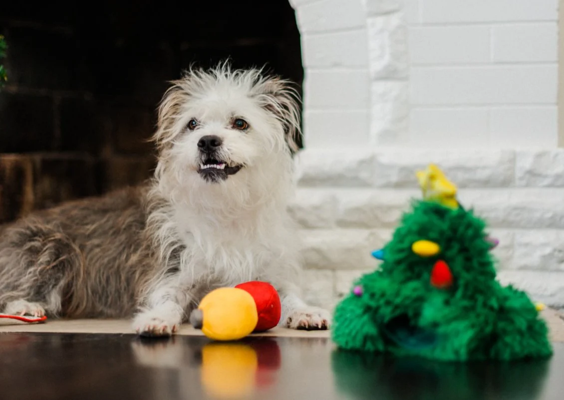 Merry Woofmas Doglas Fur & Ornaments Dog Toy Set - Image 4