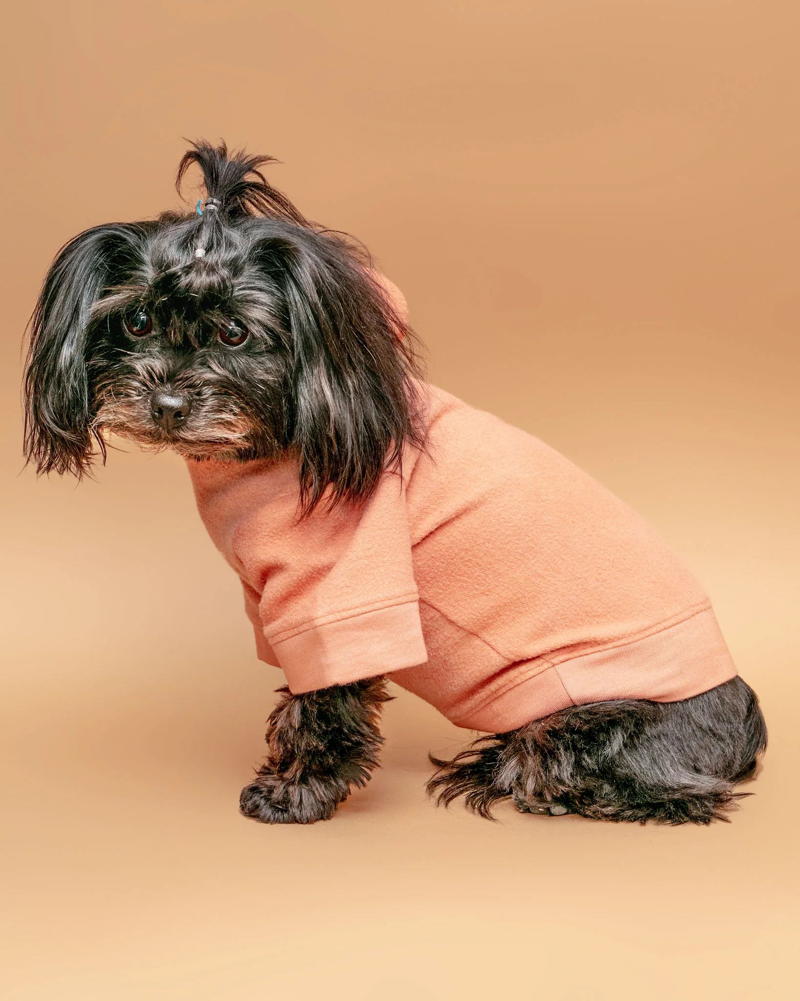 The Basics Dog Hoodie in Copper Terra << CLEARANCE >> - Image 3
