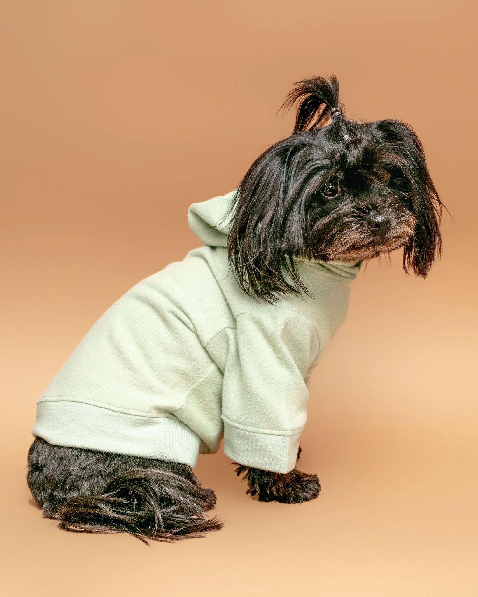 The Basics Dog Hoodie in Summer Seafoam (Made in the USA) << CLEARANCE >>