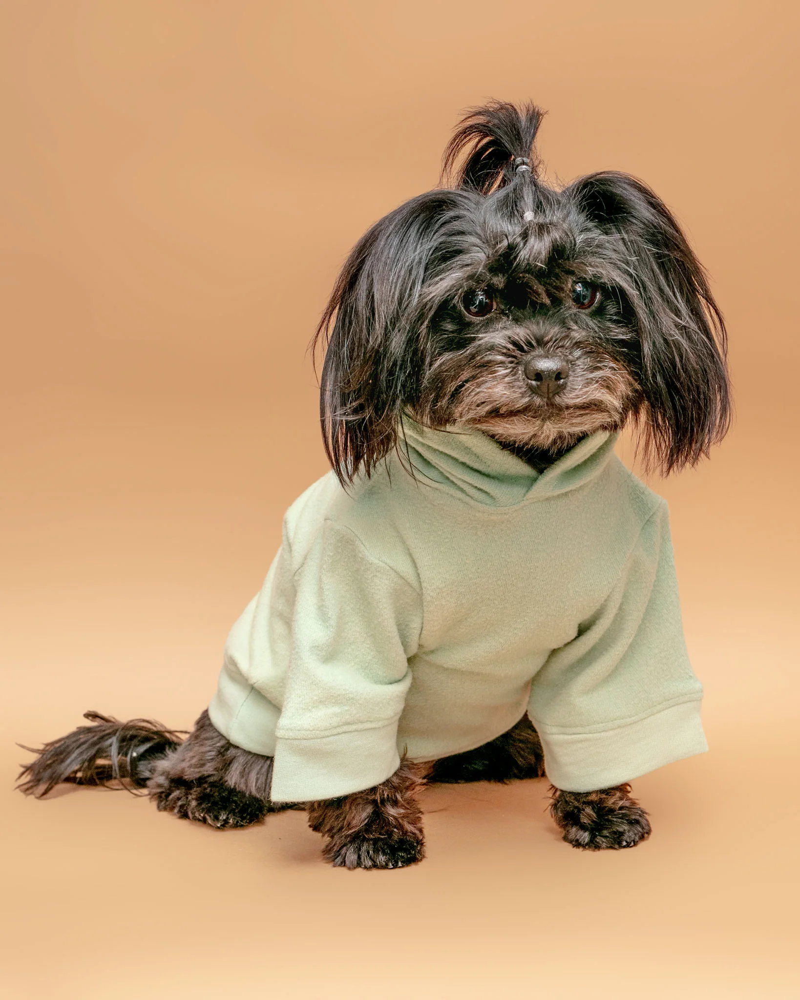 The Basics Dog Hoodie in Summer Seafoam (Made in the USA) << CLEARANCE >> - Image 3