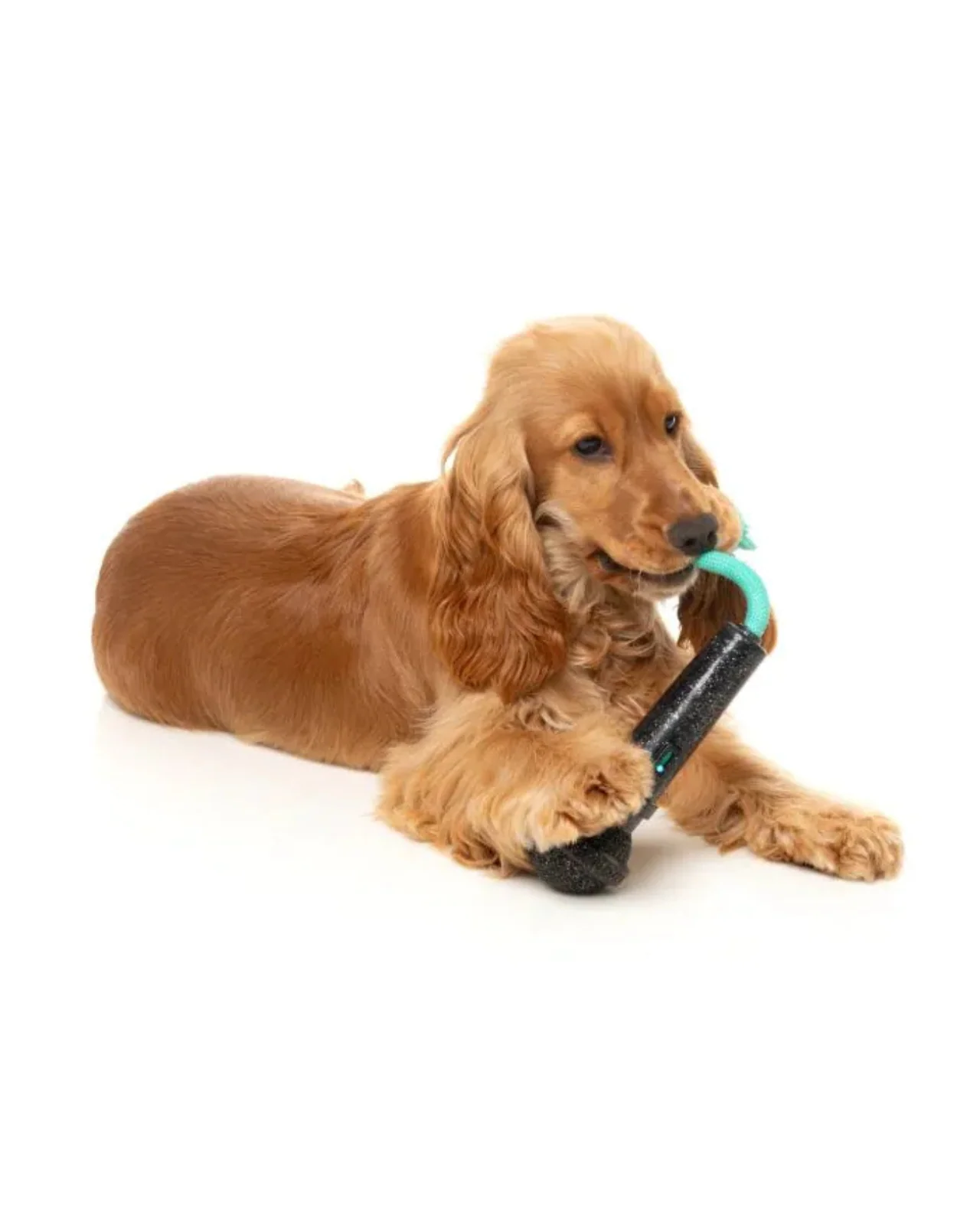 Mic Drop Interactive Chew Dog Toy - Image 7