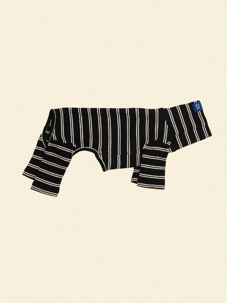 Midnight in Paris Dog Onesie (FINAL SALE)