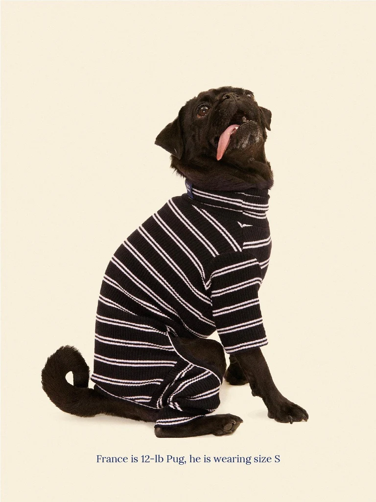 Midnight in Paris Dog Onesie (FINAL SALE) - Image 3