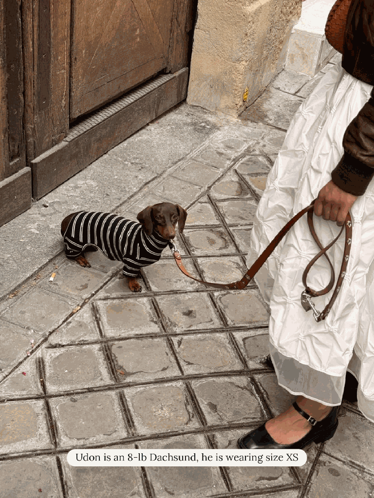 Midnight in Paris Dog Onesie (FINAL SALE) - Image 6