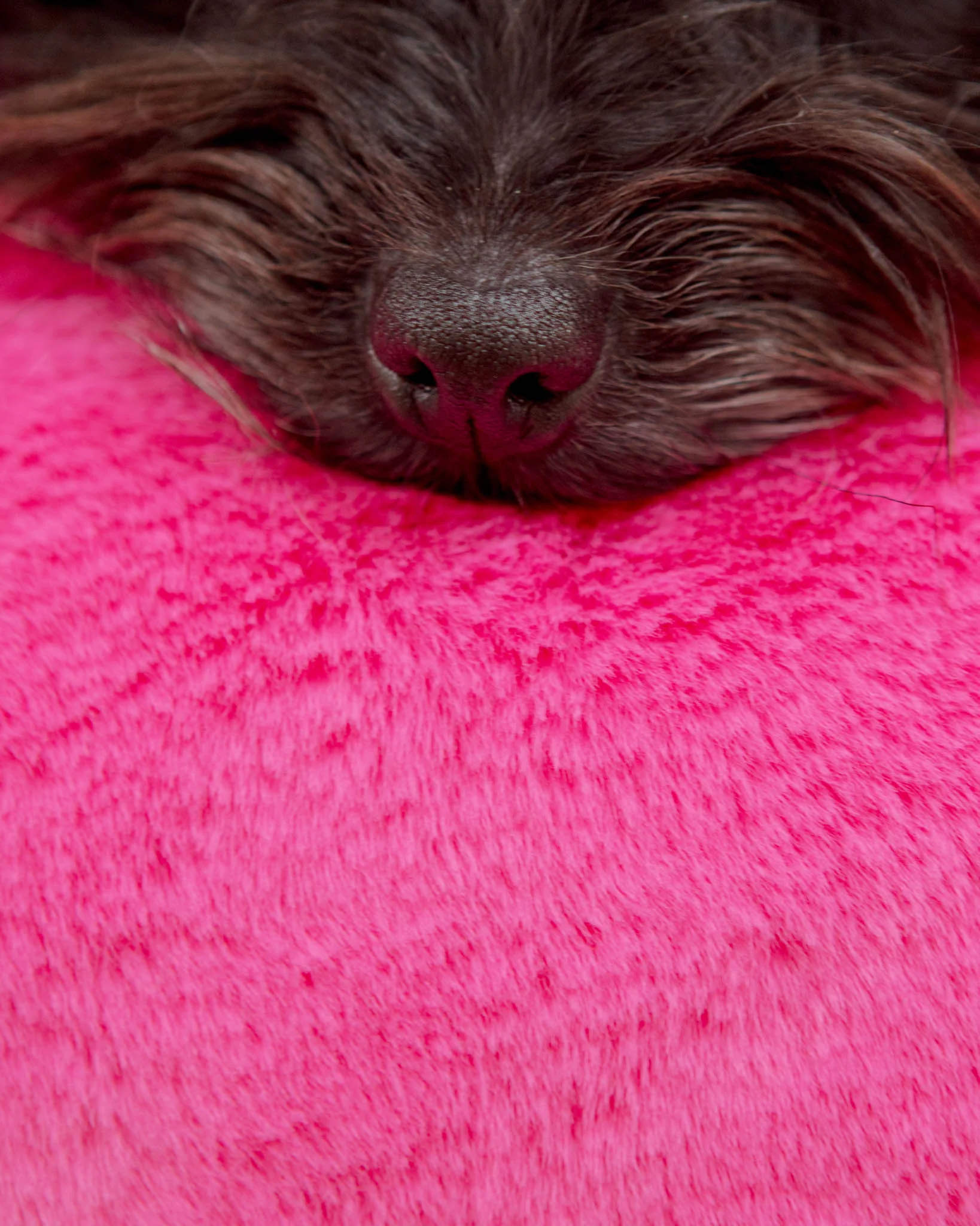 Mini Faux Fur Brady Dog Blanket in Bubble Pink - Image 2