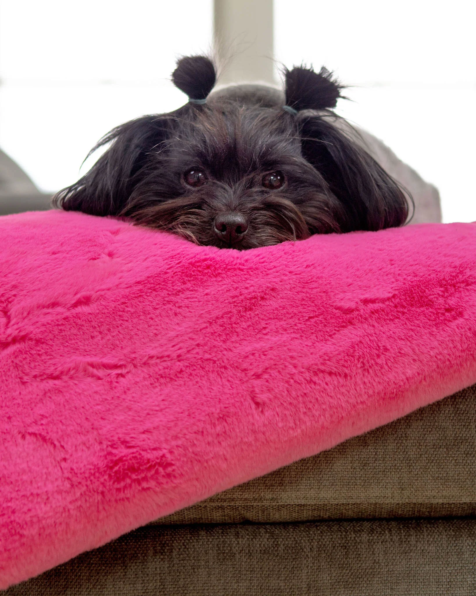 Mini Faux Fur Brady Dog Blanket in Bubble Pink - Image 3