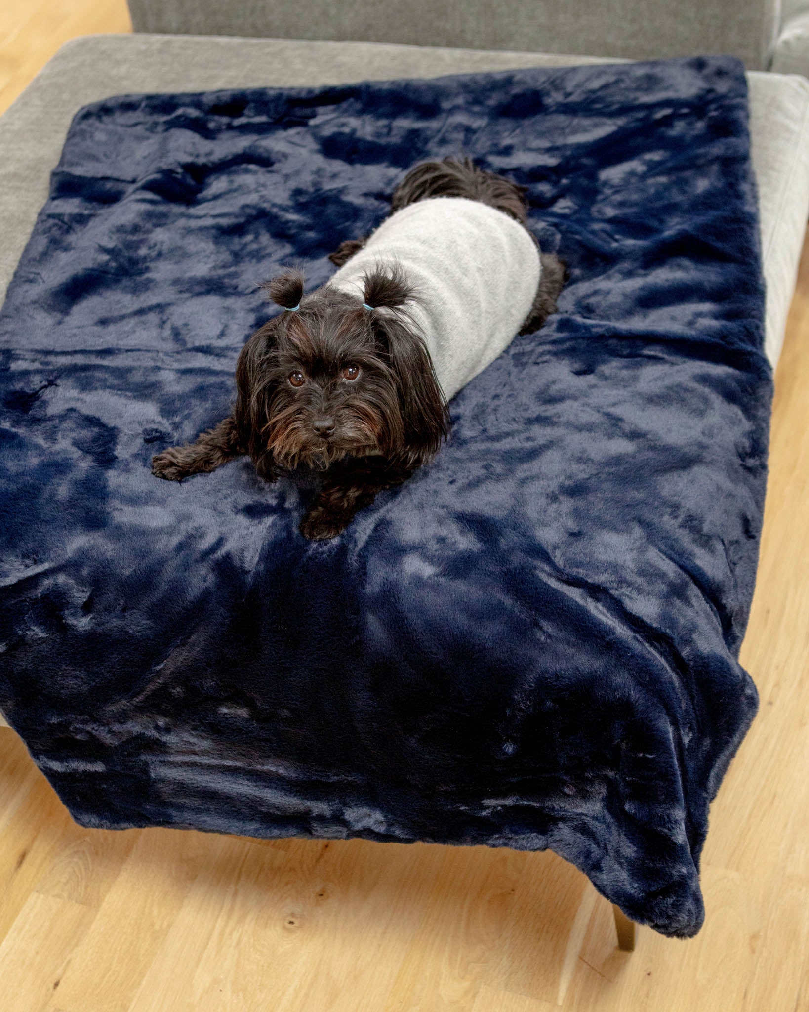 Mini Faux Fur Brady Dog Blanket in Navy - Image 3