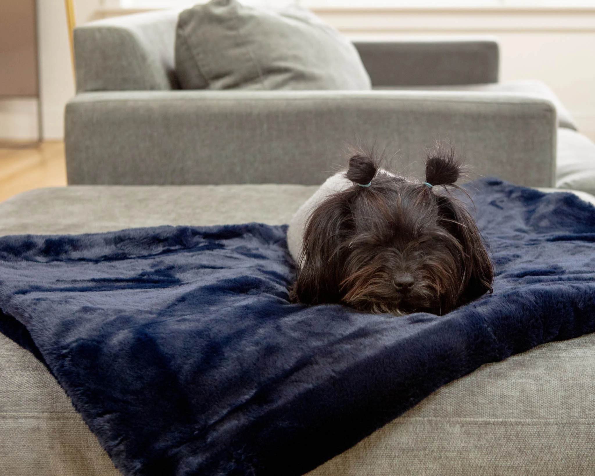Mini Faux Fur Brady Dog Blanket in Navy - Image 8