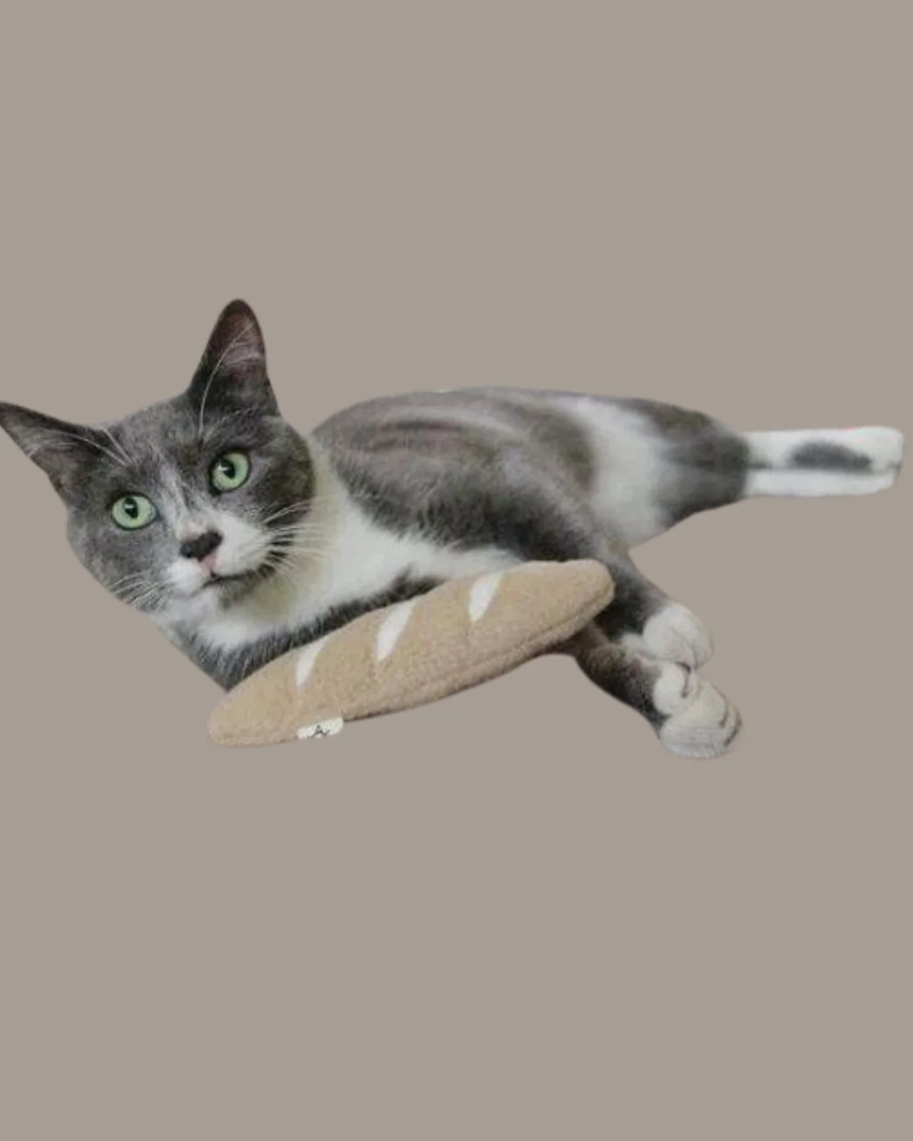 Mini French Baguette with Catnip (Made in the USA) - Image 3