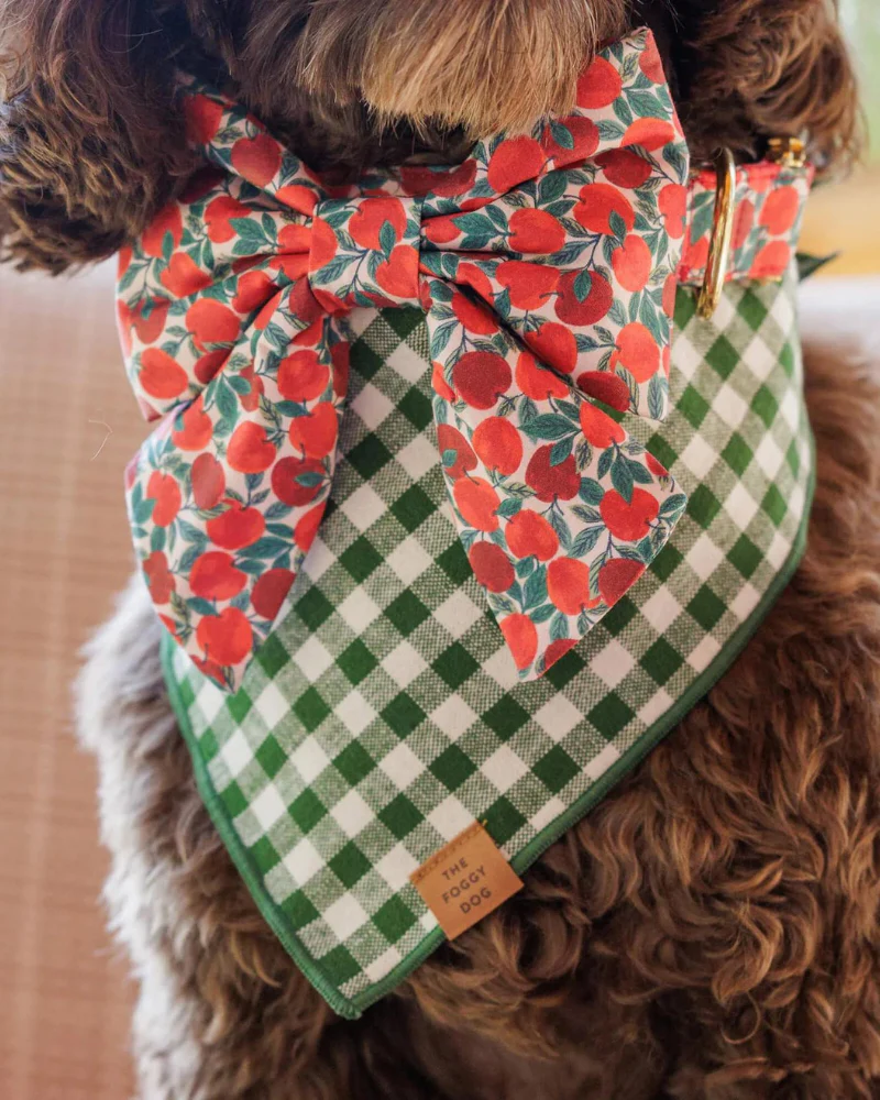 Mini Gingham Hunter Green Dog Bandana (Made in the USA) (FINAL SALE) - Image 2