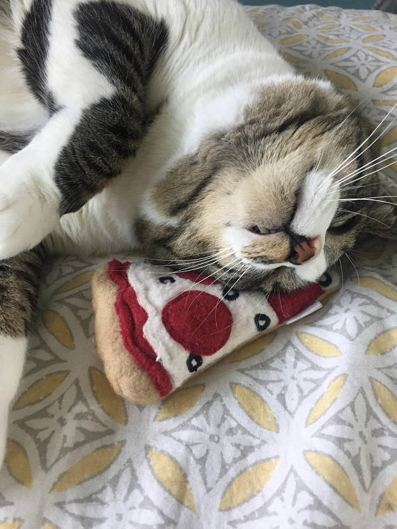 MISO HANDMADE | Pizza Catnip Toy - Image 3