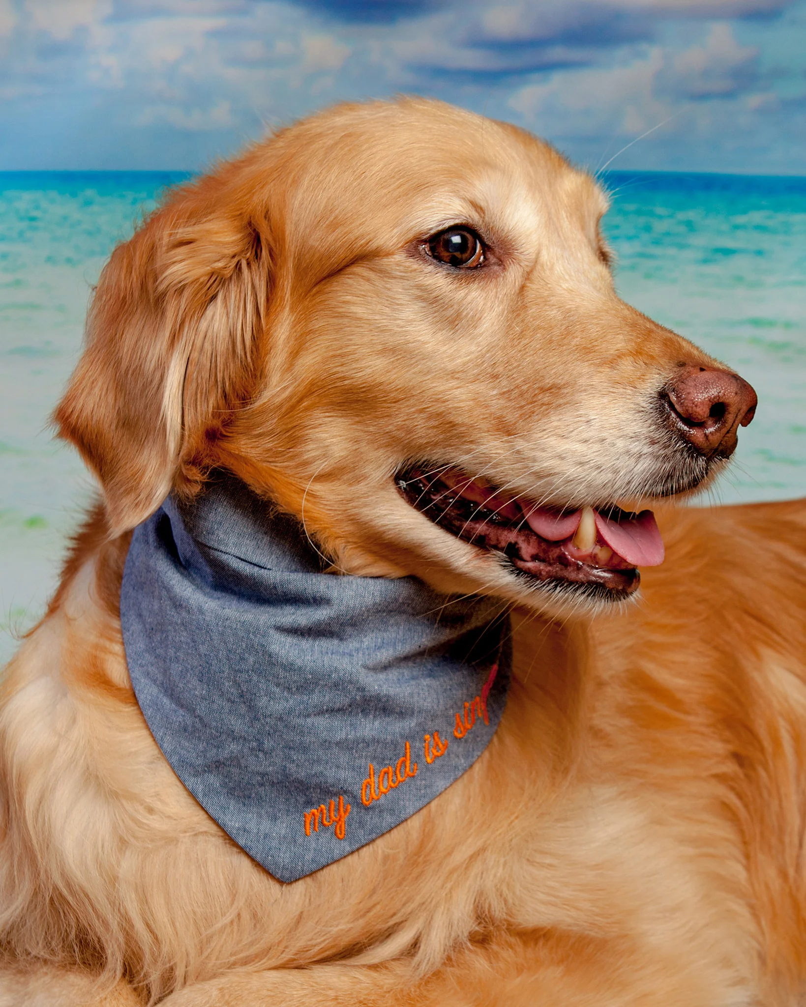 My Dad is Single Chambray Bandana (Made in the USA) (FINAL SALE) - Image 5