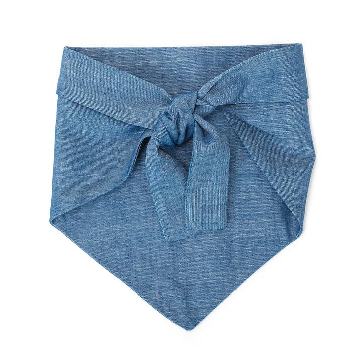 My Dad is Single Chambray Bandana (Made in the USA) (FINAL SALE) - Image 6