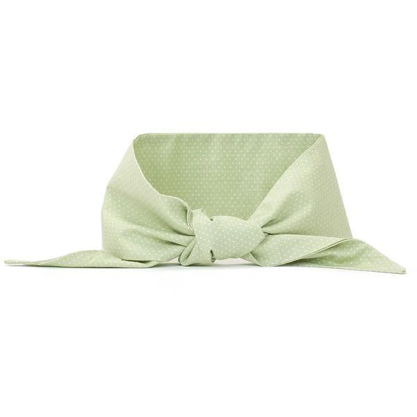 Neck Tie in Mint Polkadot (FINAL SALE)