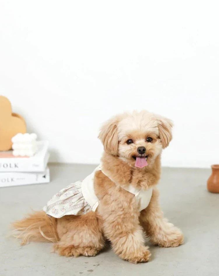 Japanese Denim Flower Dog Dress - Image 5