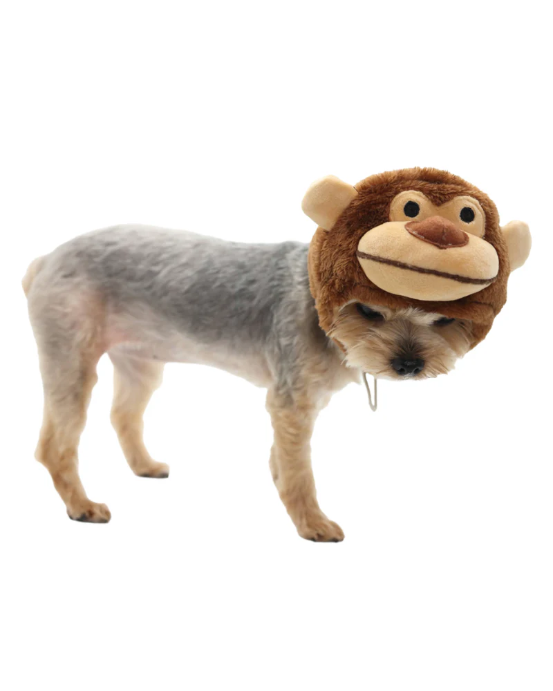 Monkey Dog Hat - Image 2