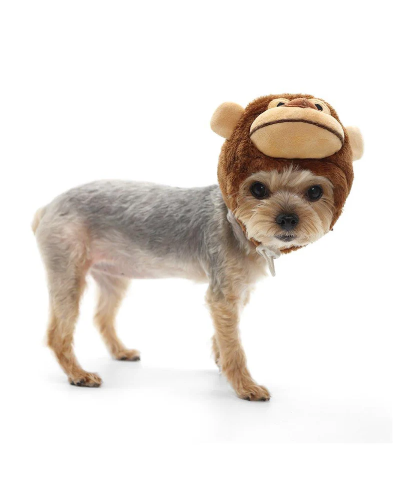 Monkey Dog Hat - Image 4