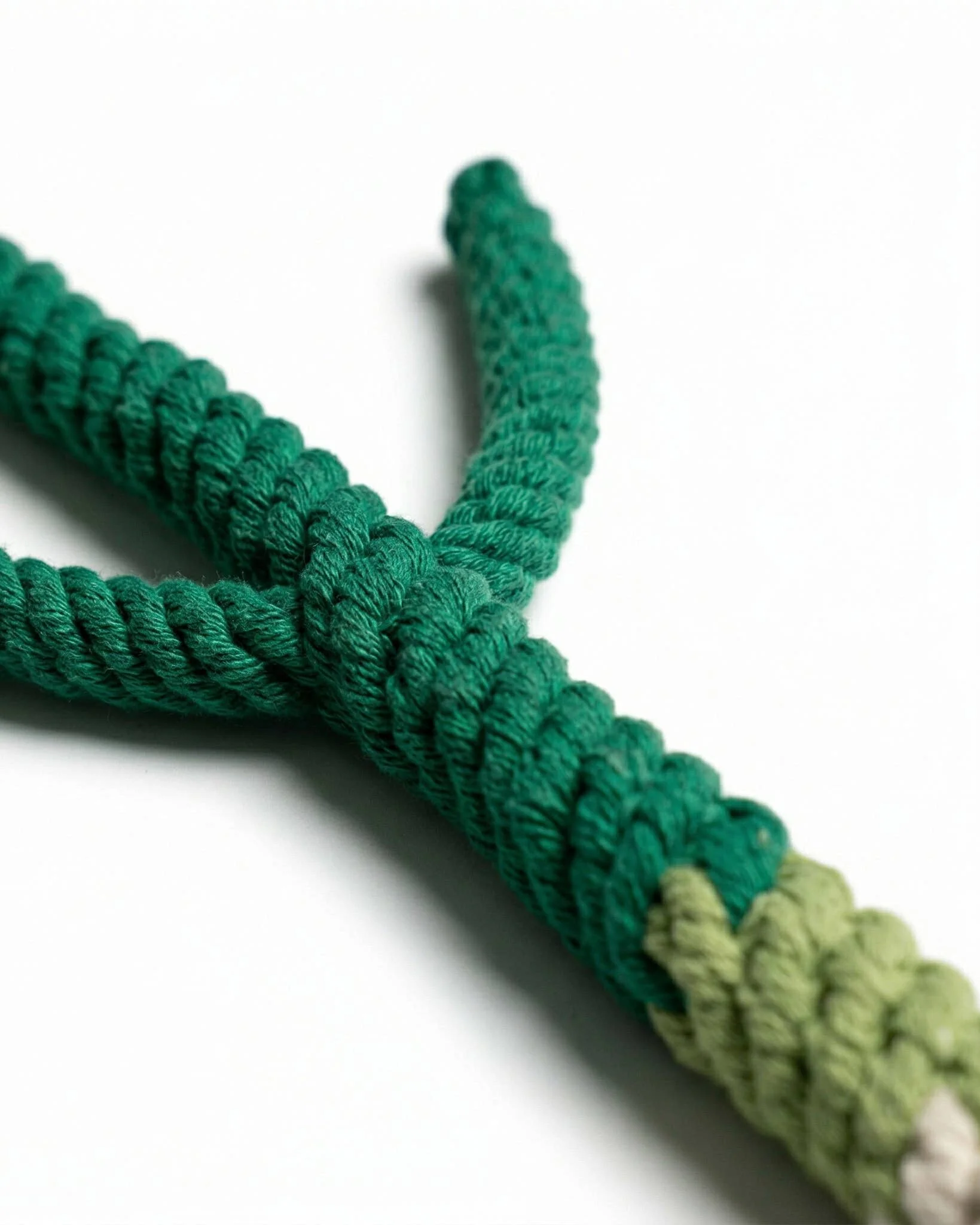 Handmade Green Onion Rope Dog Toy - Image 3