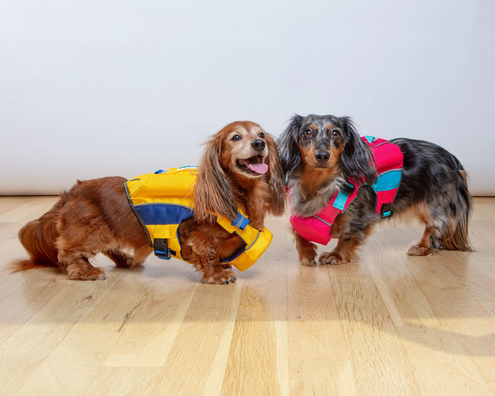 Monterey Bay Dog Life Jacket in Nautical Yellow - Image 4