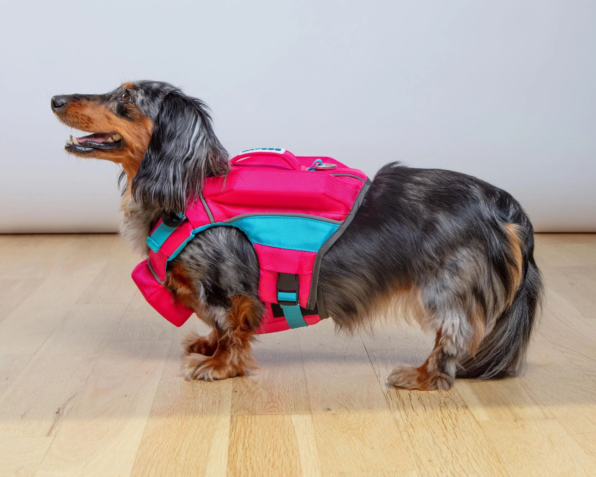 Monterey Bay Offshore Dog Life Jacket in Sunset Pink - Image 3