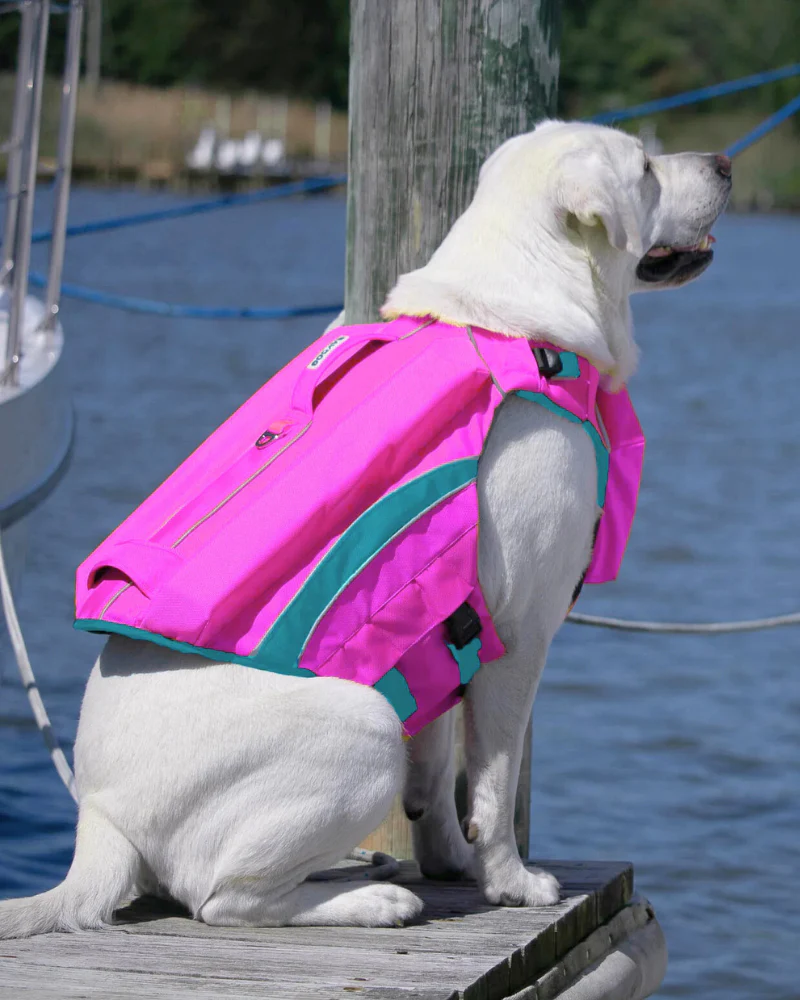Monterey Bay Offshore Dog Life Jacket in Sunset Pink - Image 8