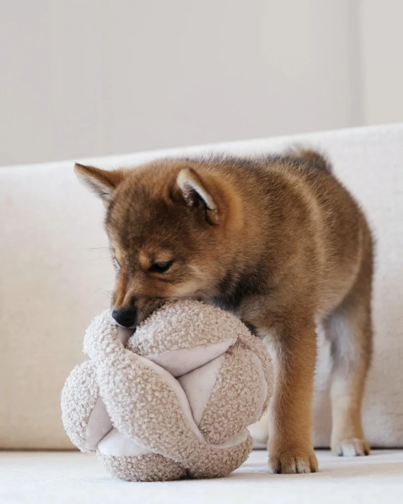 Monti Snuffle Ball Dog Toy - Image 9