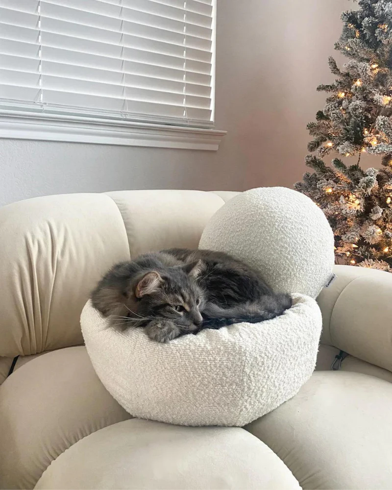 Bouclé Modular Moon Cat Cave Bed