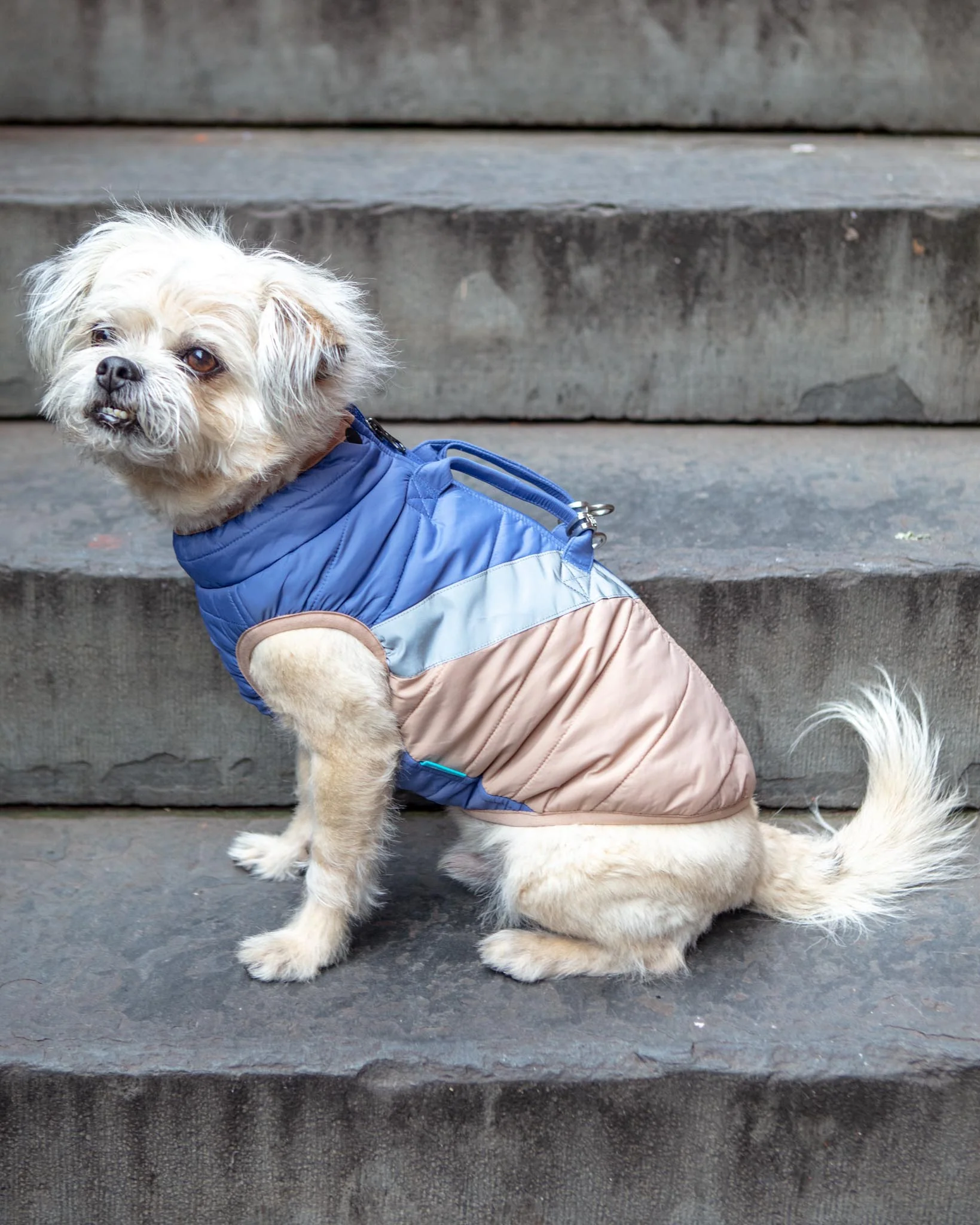 Mountaineer Waterproof Dog Harness Jacket in Tan & Moonstone Blue (FINAL SALE) - Image 7