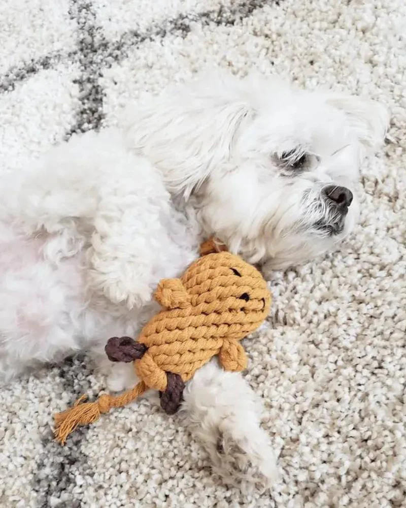 Jerry the Mouse Rope Dog Toy - Image 3