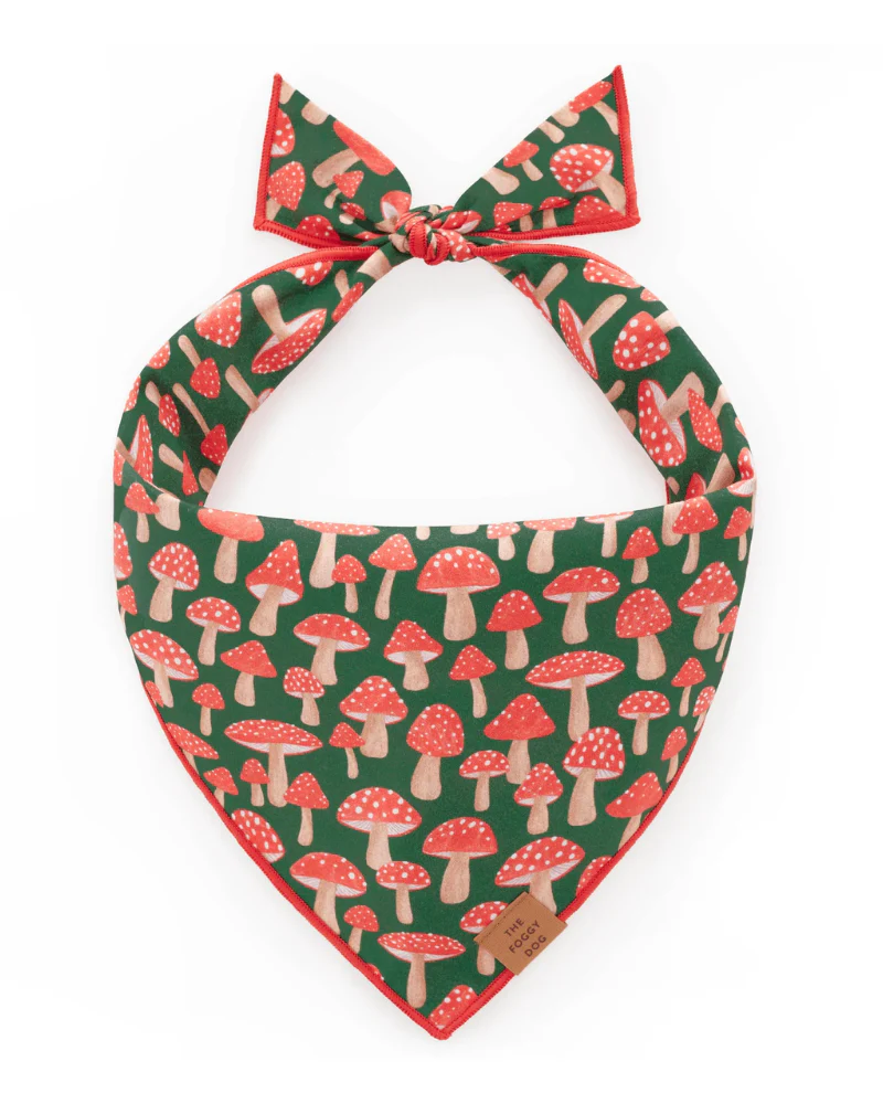 Mushroom Meadow Cotton Dog Bandana (Made in the USA) (FINAL SALE) - Image 2