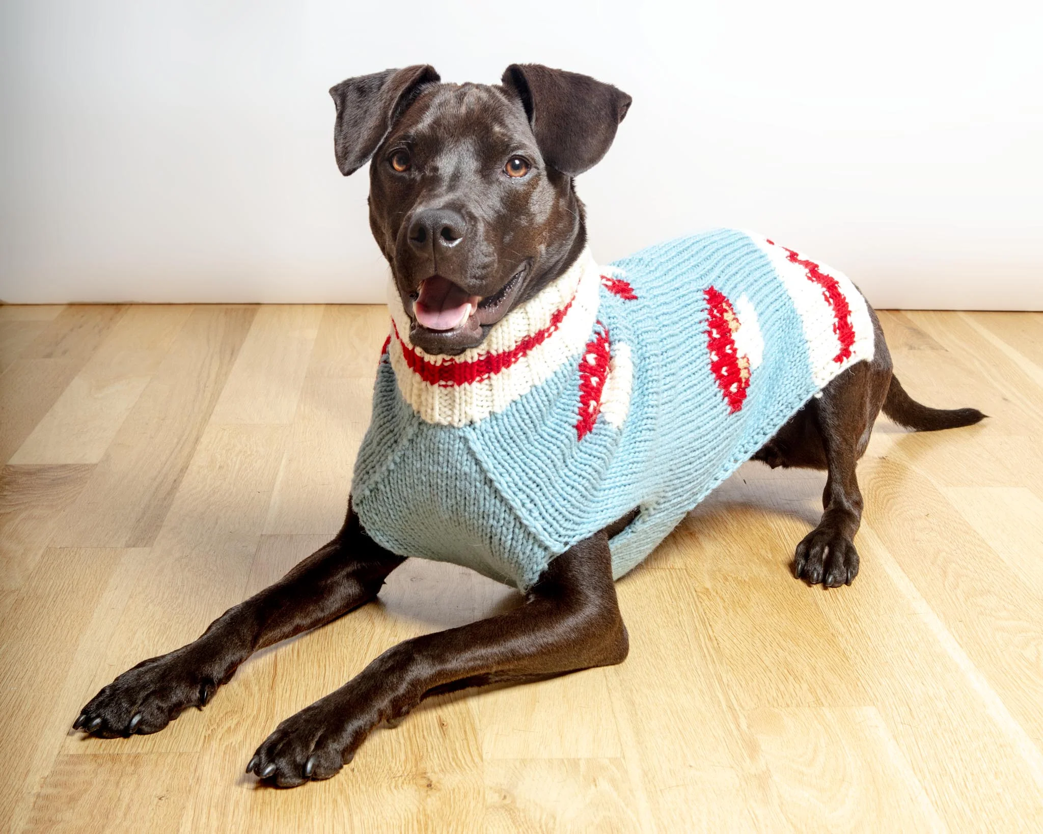 Mushroom Wool Dog Sweater (FINAL SALE) - Image 3