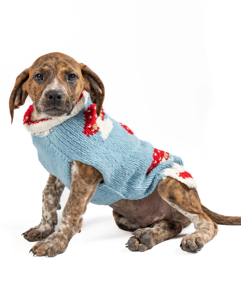 Mushroom Wool Dog Sweater (FINAL SALE) - Image 7